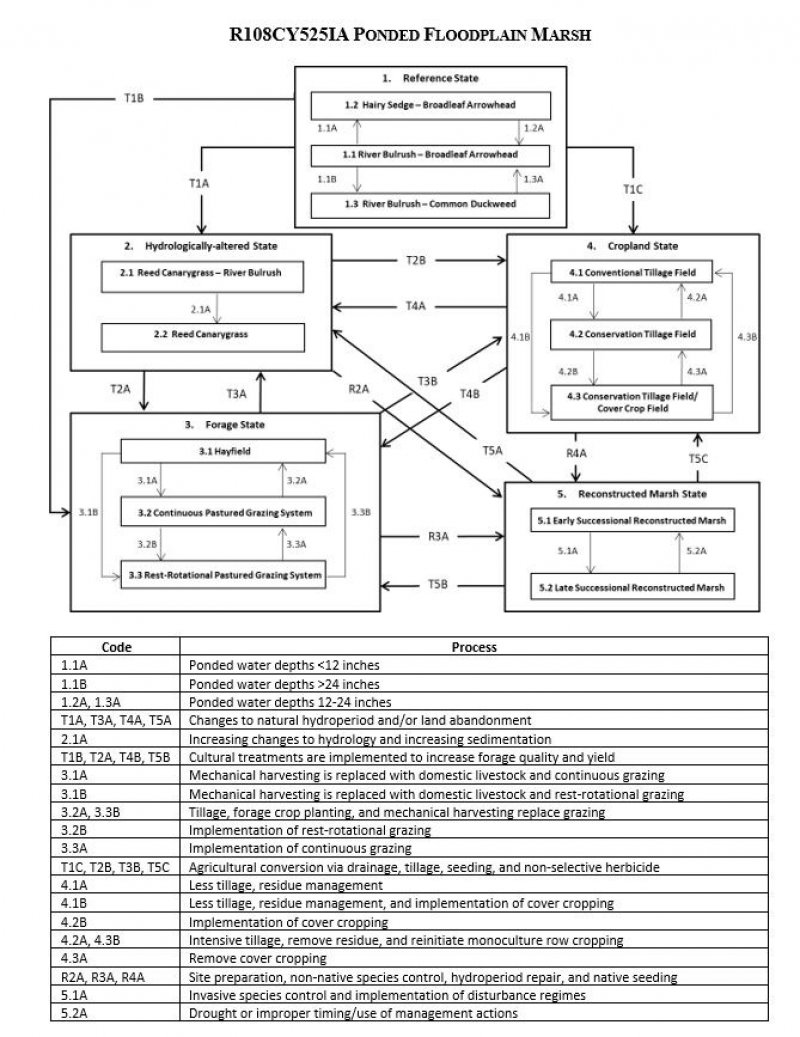Model diagram