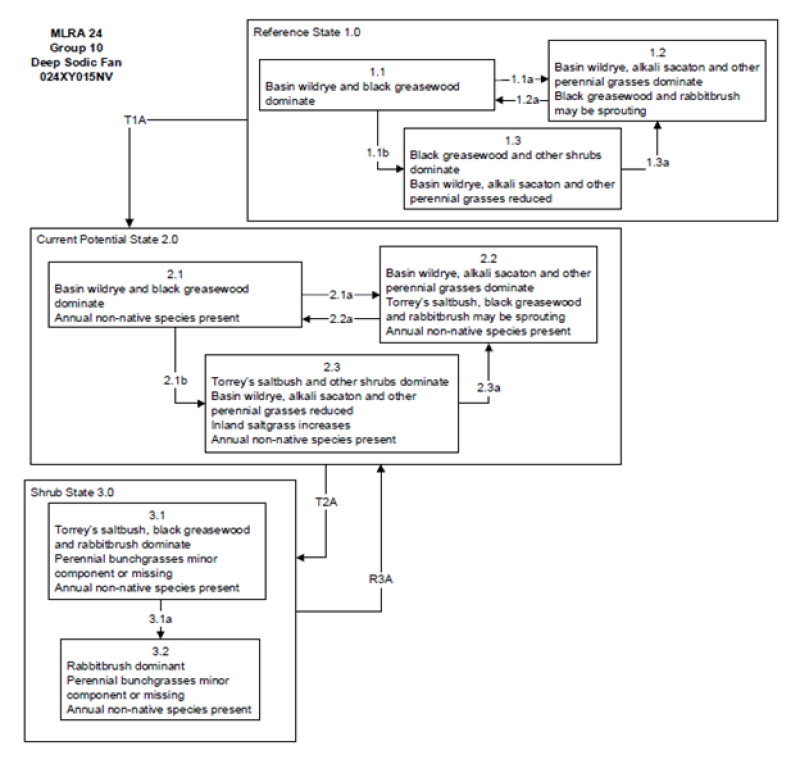 Model diagram