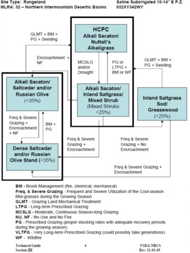 Model diagram