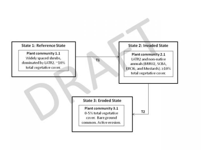 Model diagram