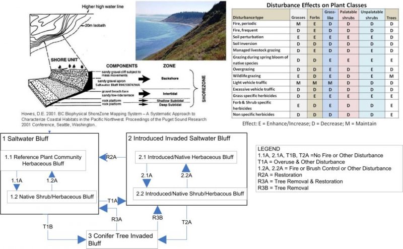 Model diagram