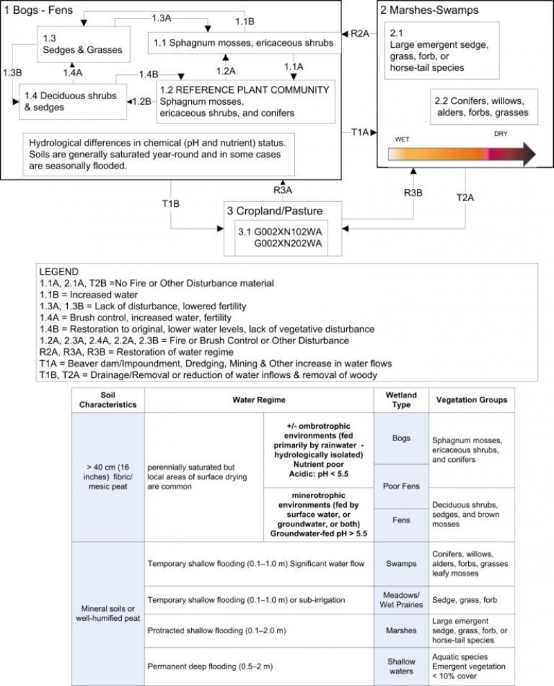 Model diagram
