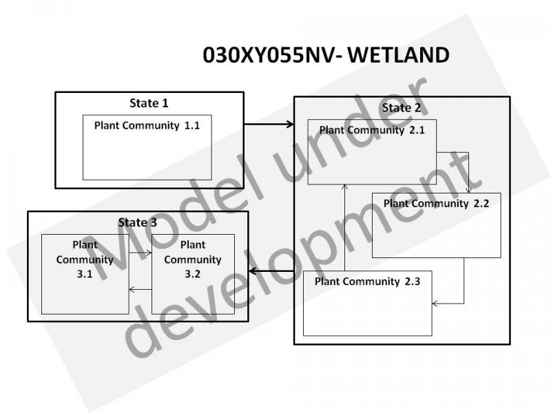 Model diagram