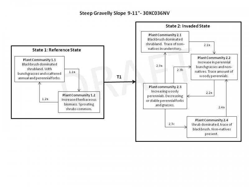 Model diagram