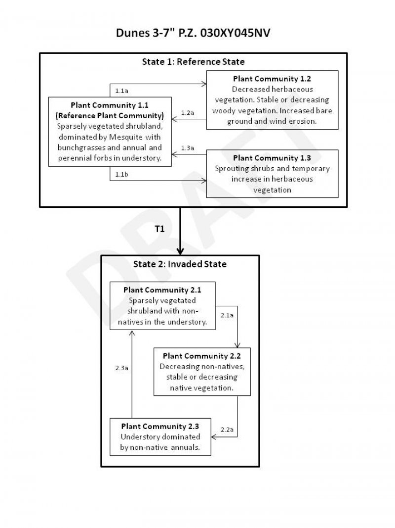 Model diagram