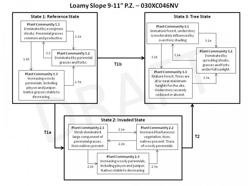 Model diagram