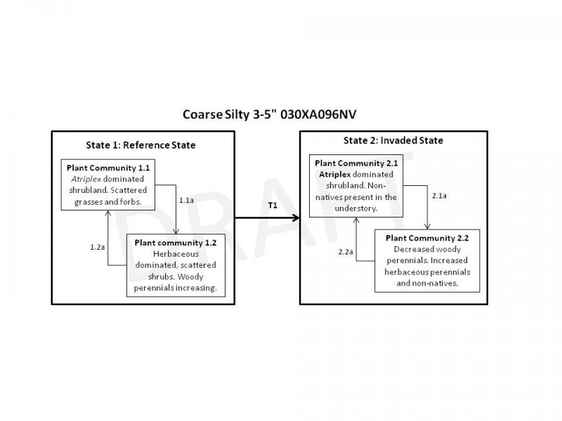Model diagram