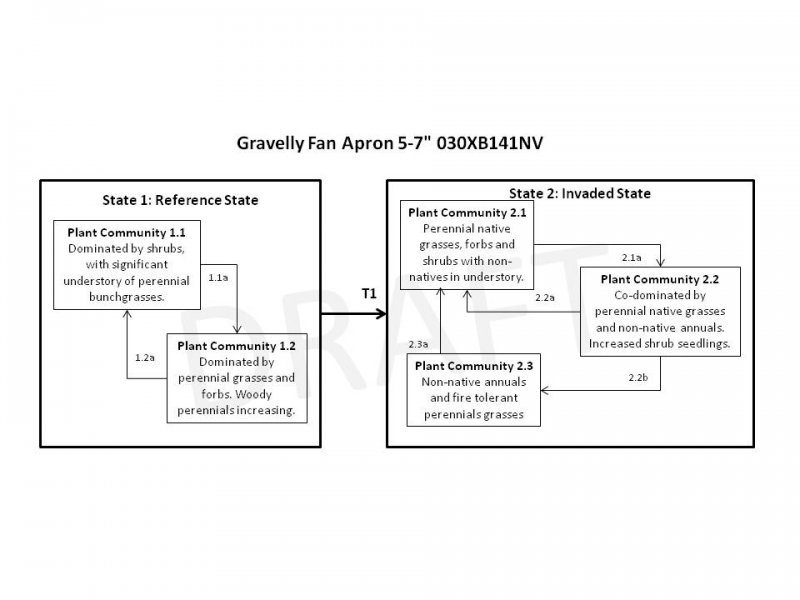 Model diagram