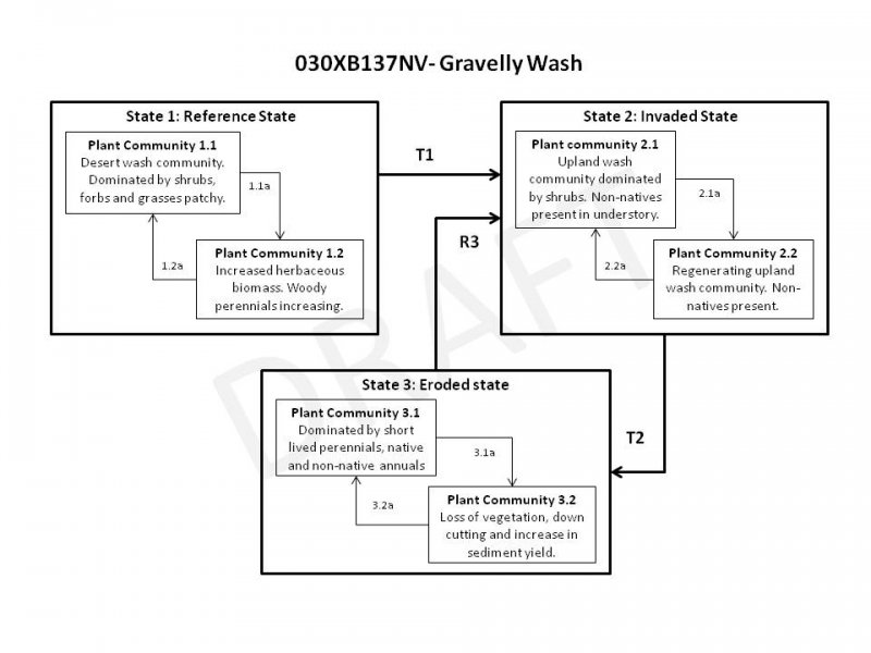 Model diagram
