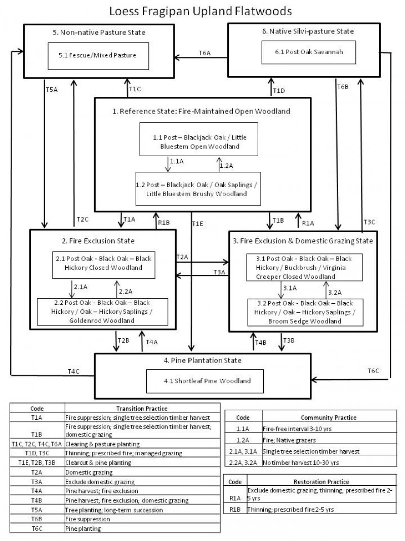 Model diagram