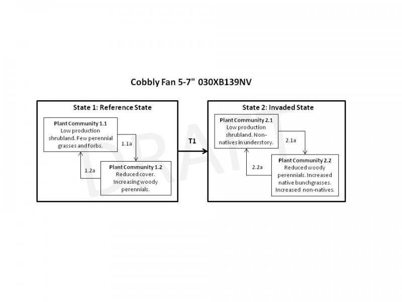 Model diagram