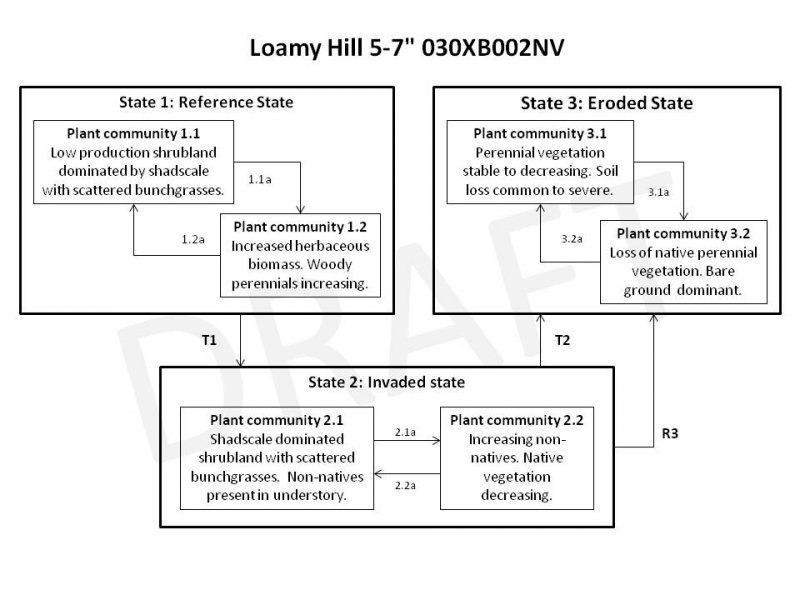 Model diagram