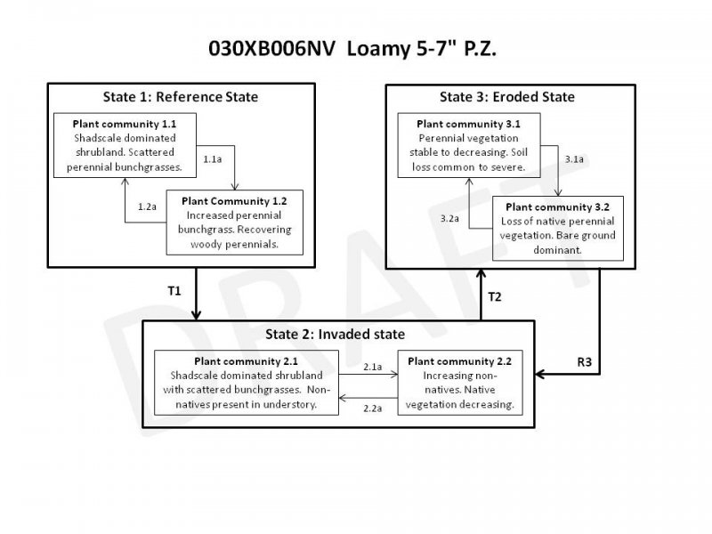 Model diagram