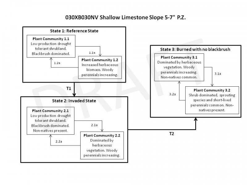 Model diagram