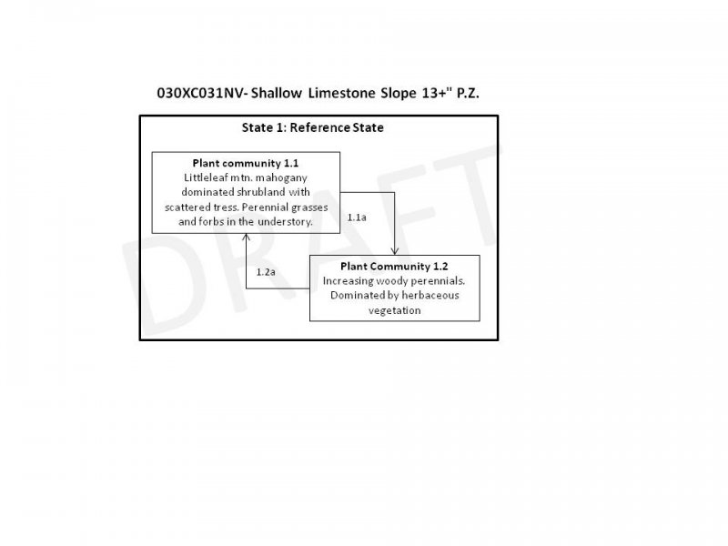 Model diagram