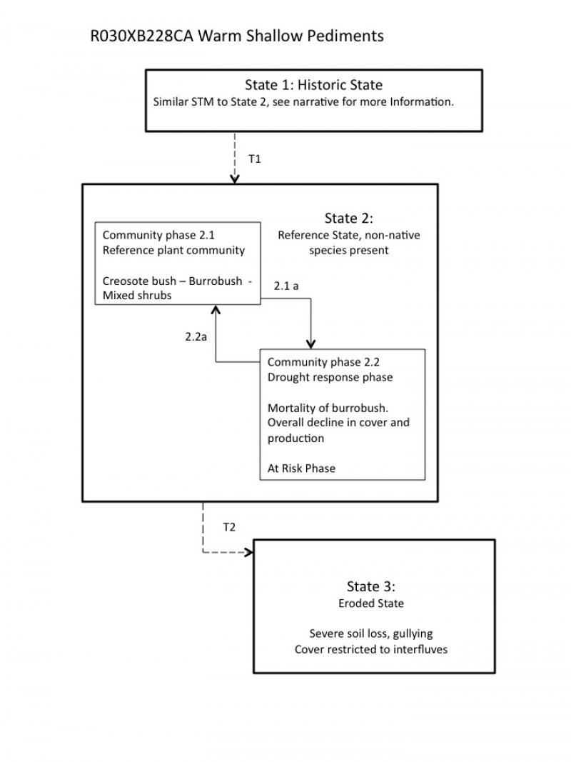 Model diagram