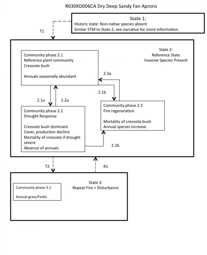 Model diagram