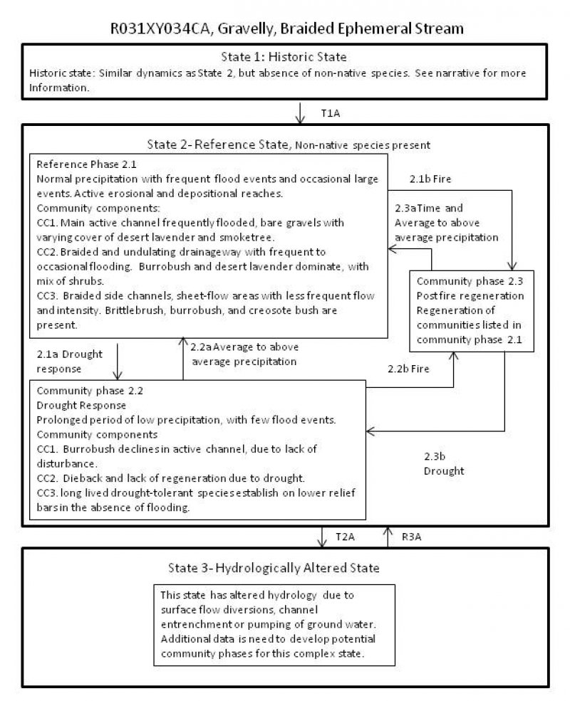 Model diagram