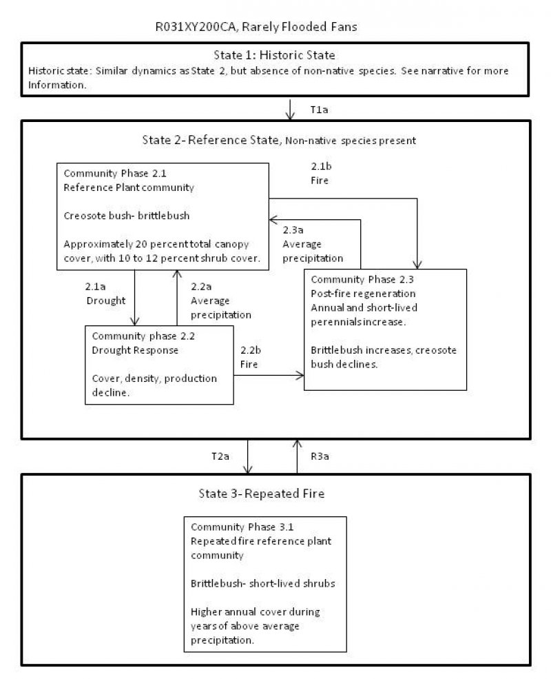 Model diagram