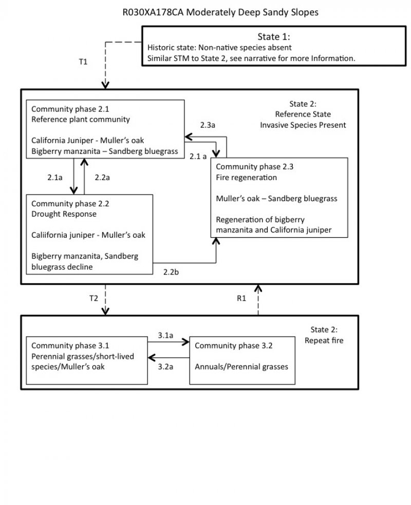 Model diagram