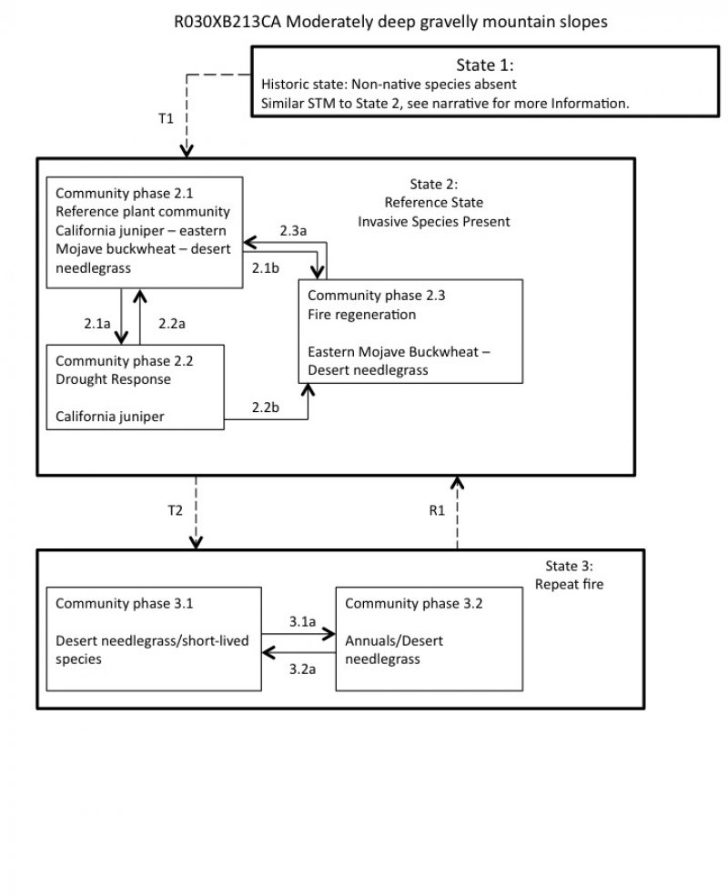 Model diagram