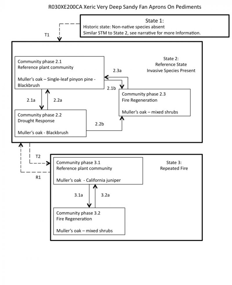 Model diagram