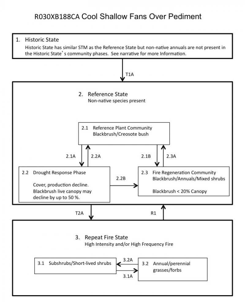 Model diagram