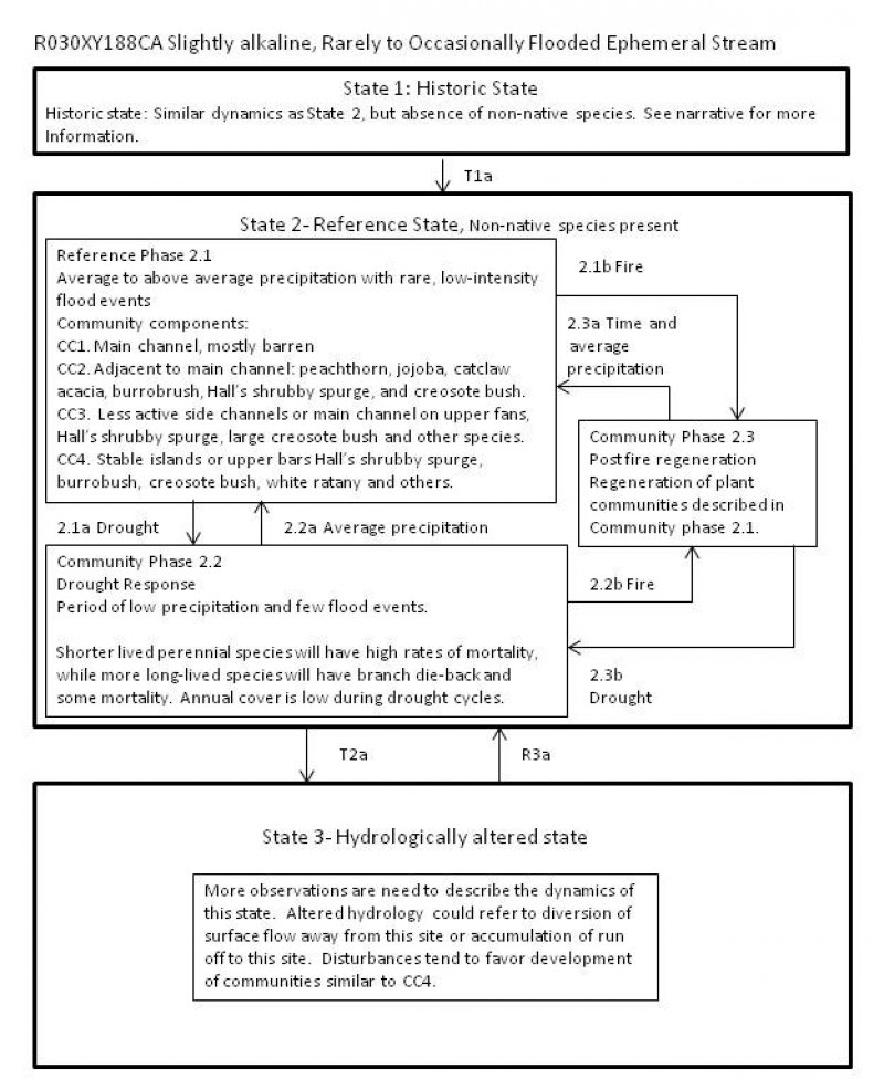 Model diagram