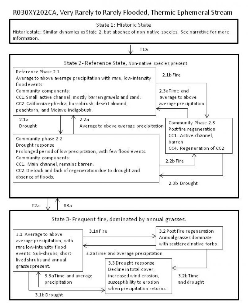 Model diagram