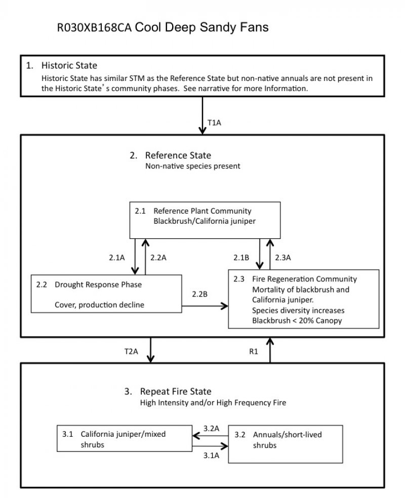 Model diagram