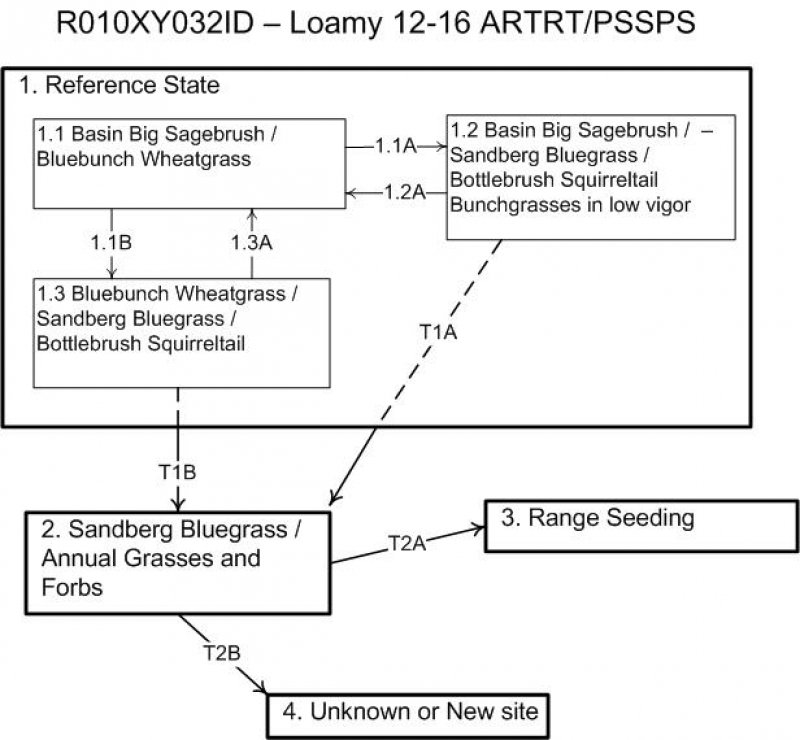 Model diagram