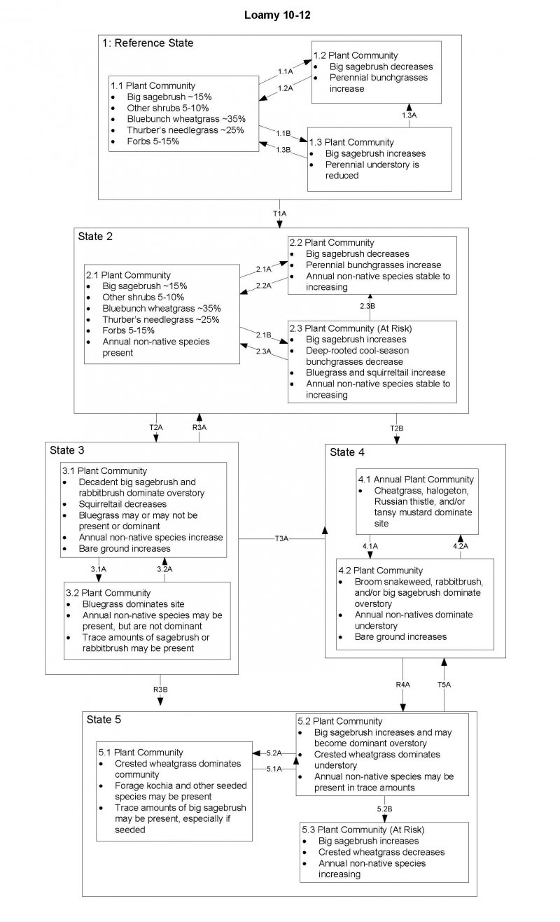 Model diagram