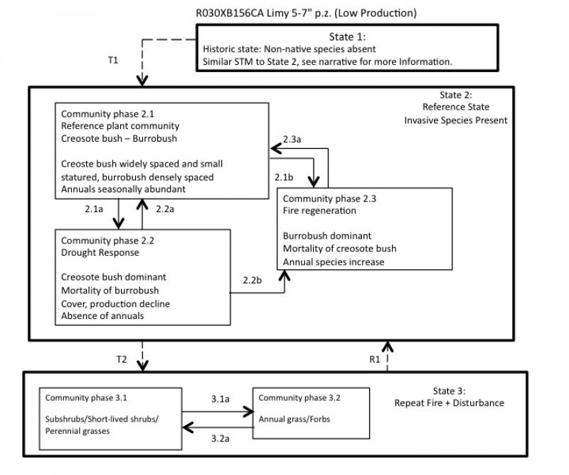 Model diagram