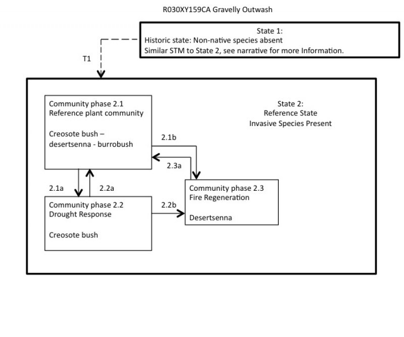 Model diagram