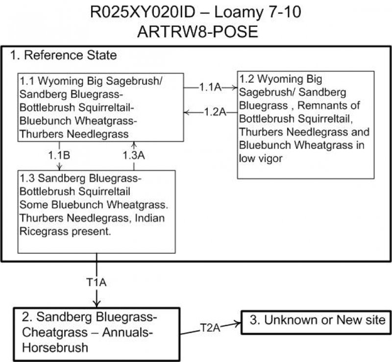 Model diagram