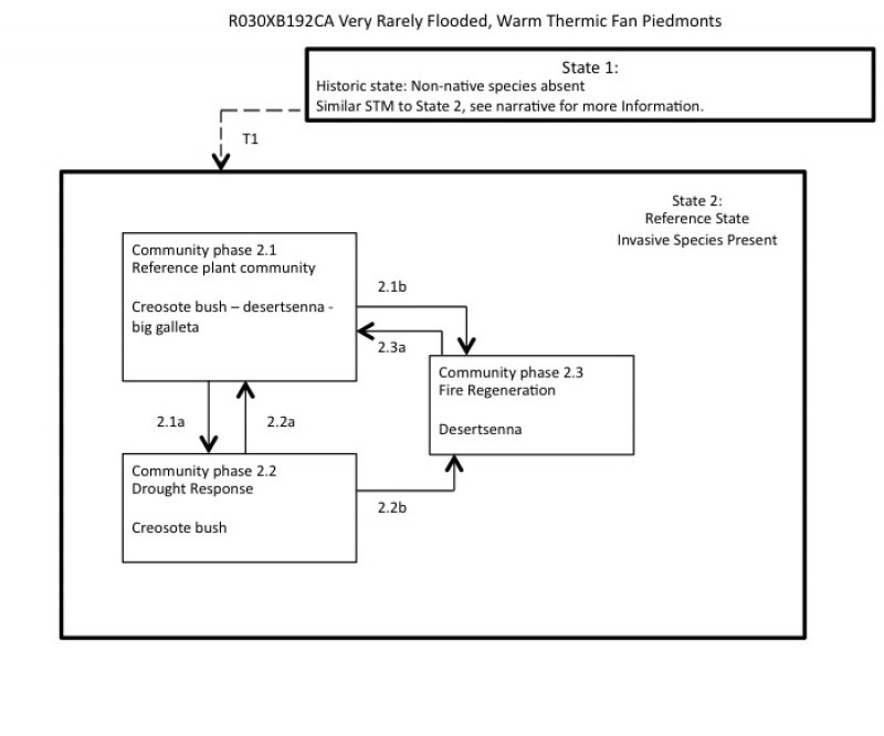 Model diagram