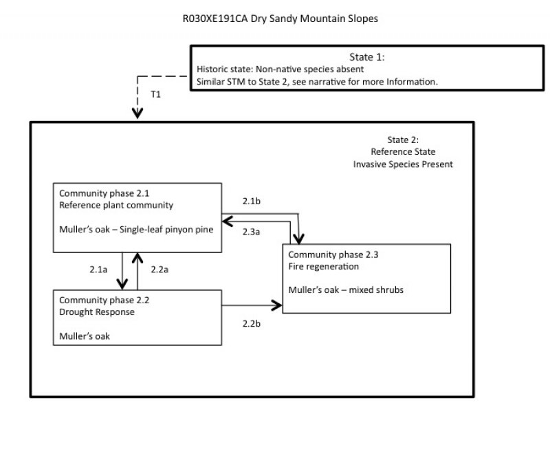 Model diagram