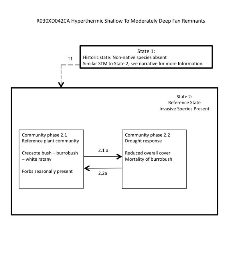 Model diagram