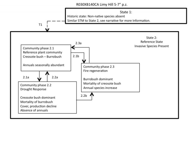Model diagram