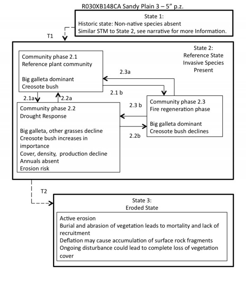 Model diagram
