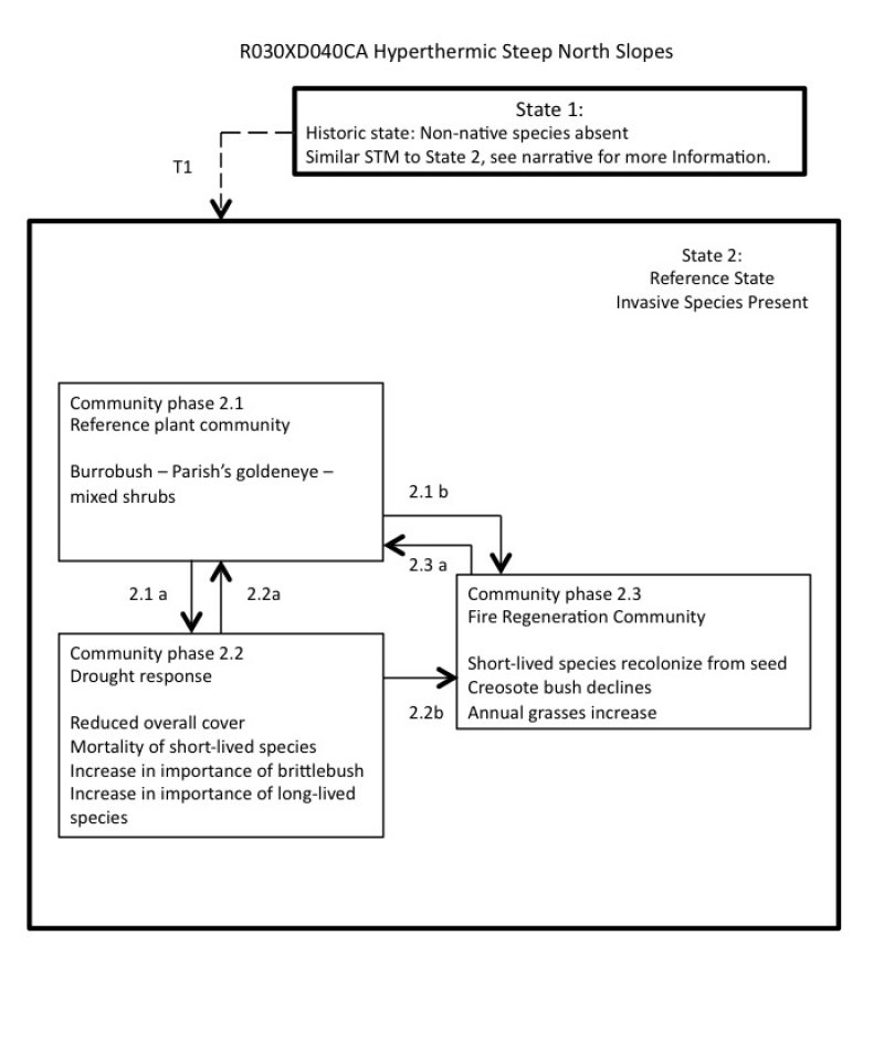 Model diagram
