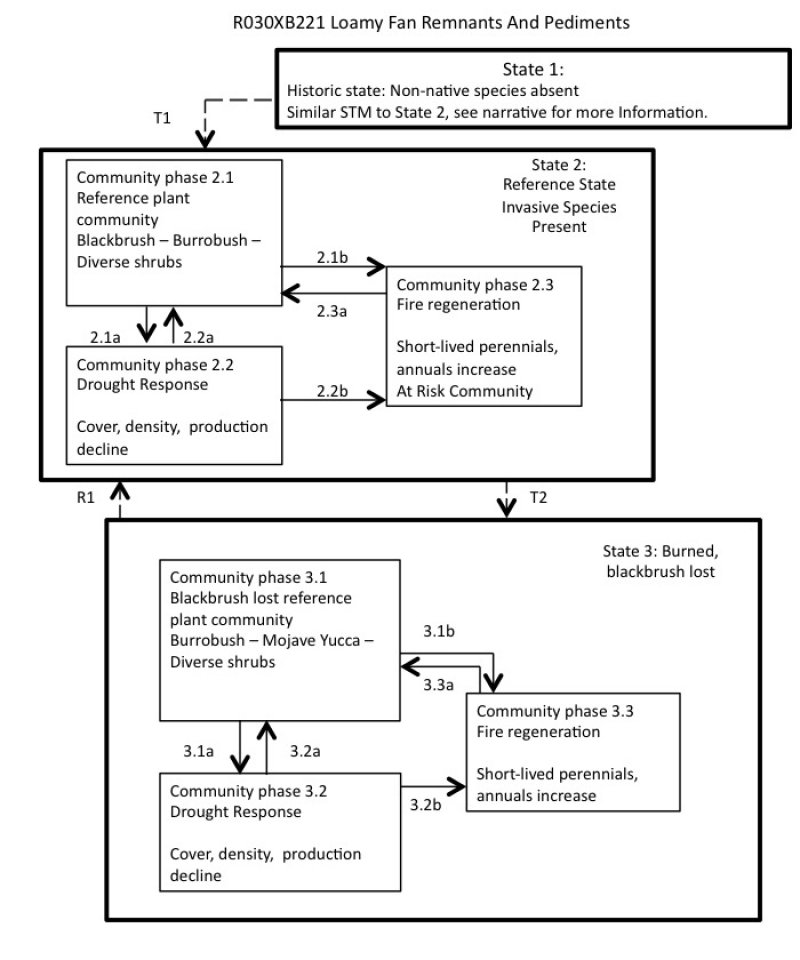 Model diagram