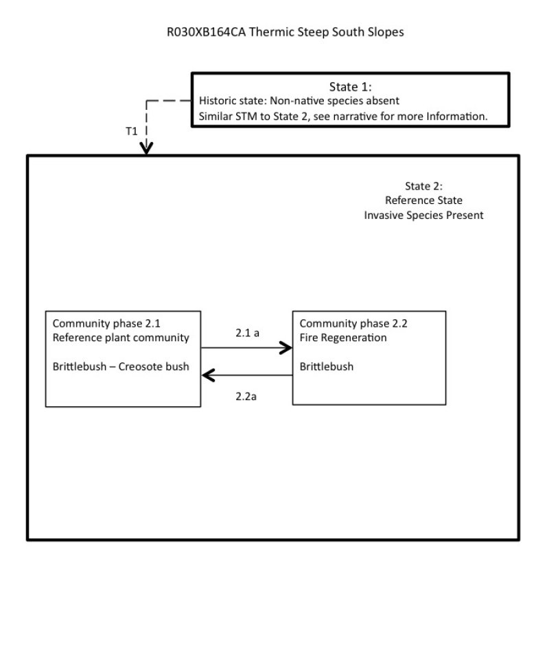 Model diagram