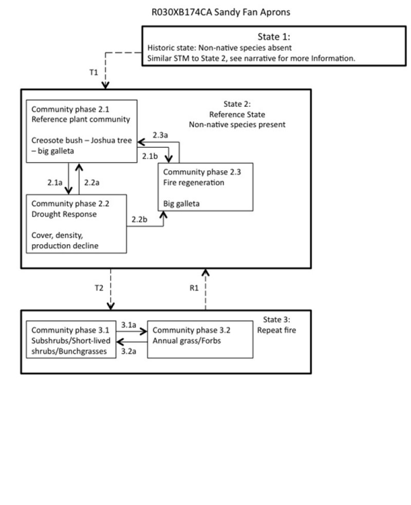Model diagram