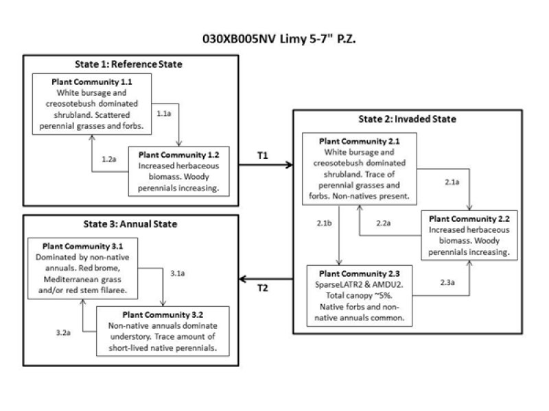 Model diagram
