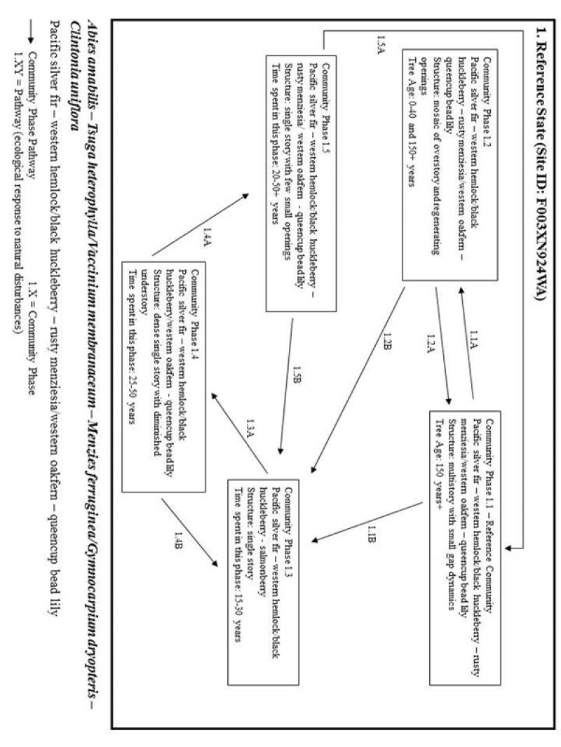 Model diagram