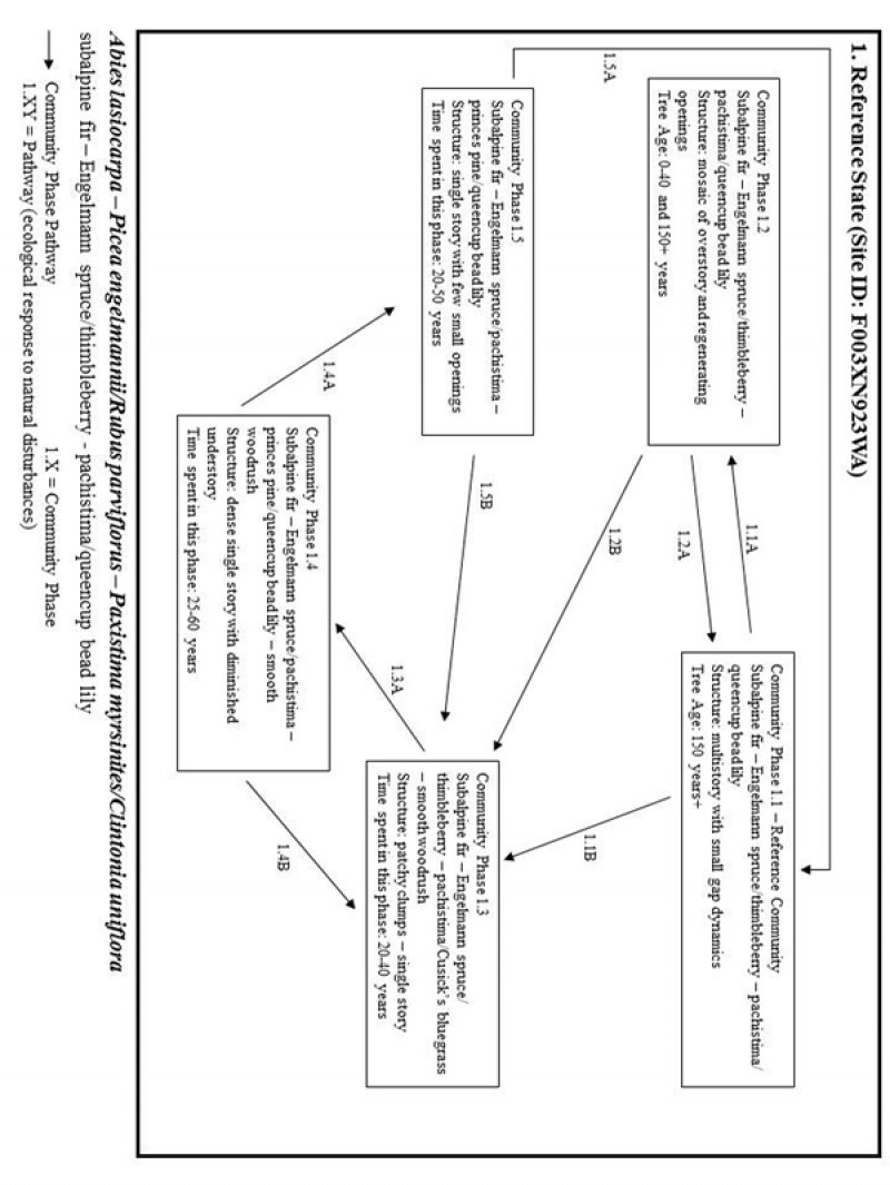 Model diagram