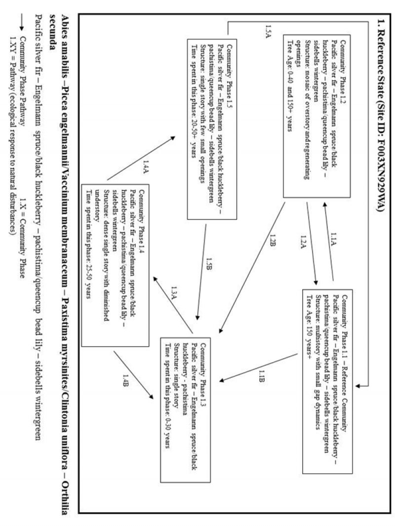 Model diagram