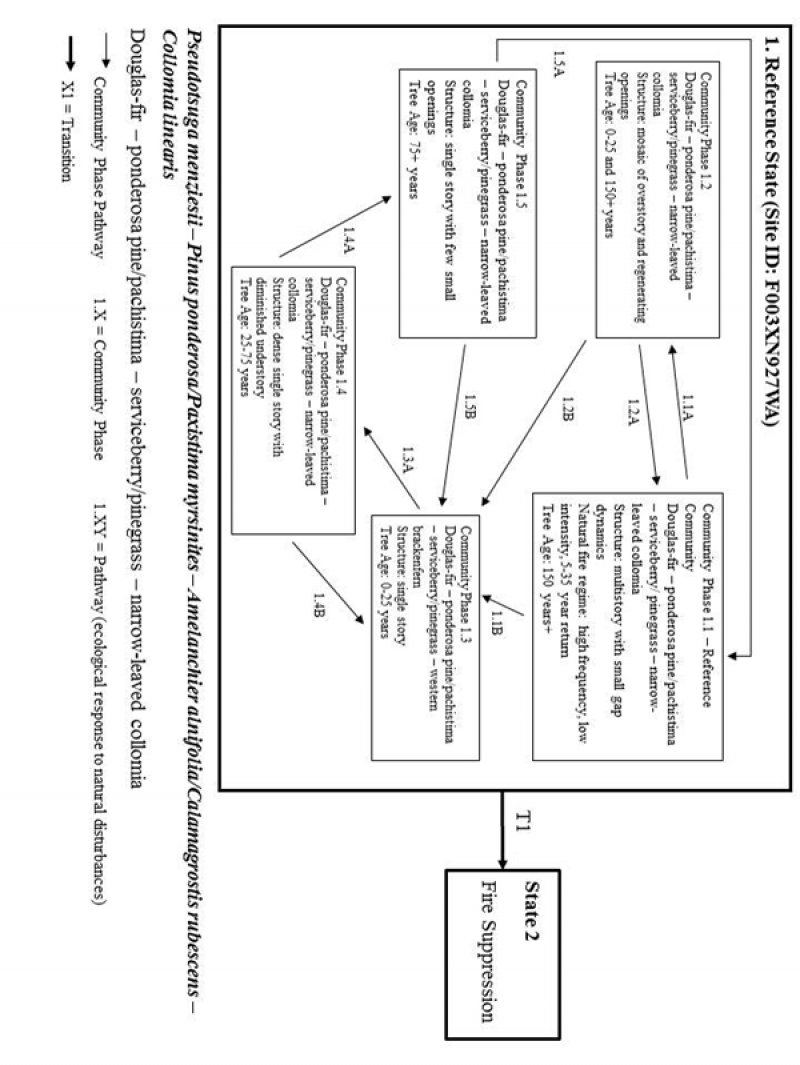 Model diagram
