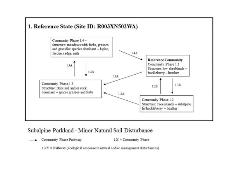 Model diagram